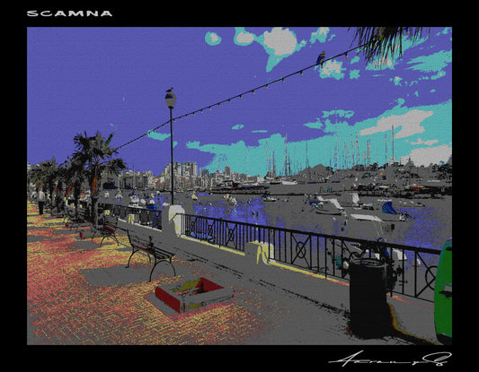 AARONYS: SCAMNA
